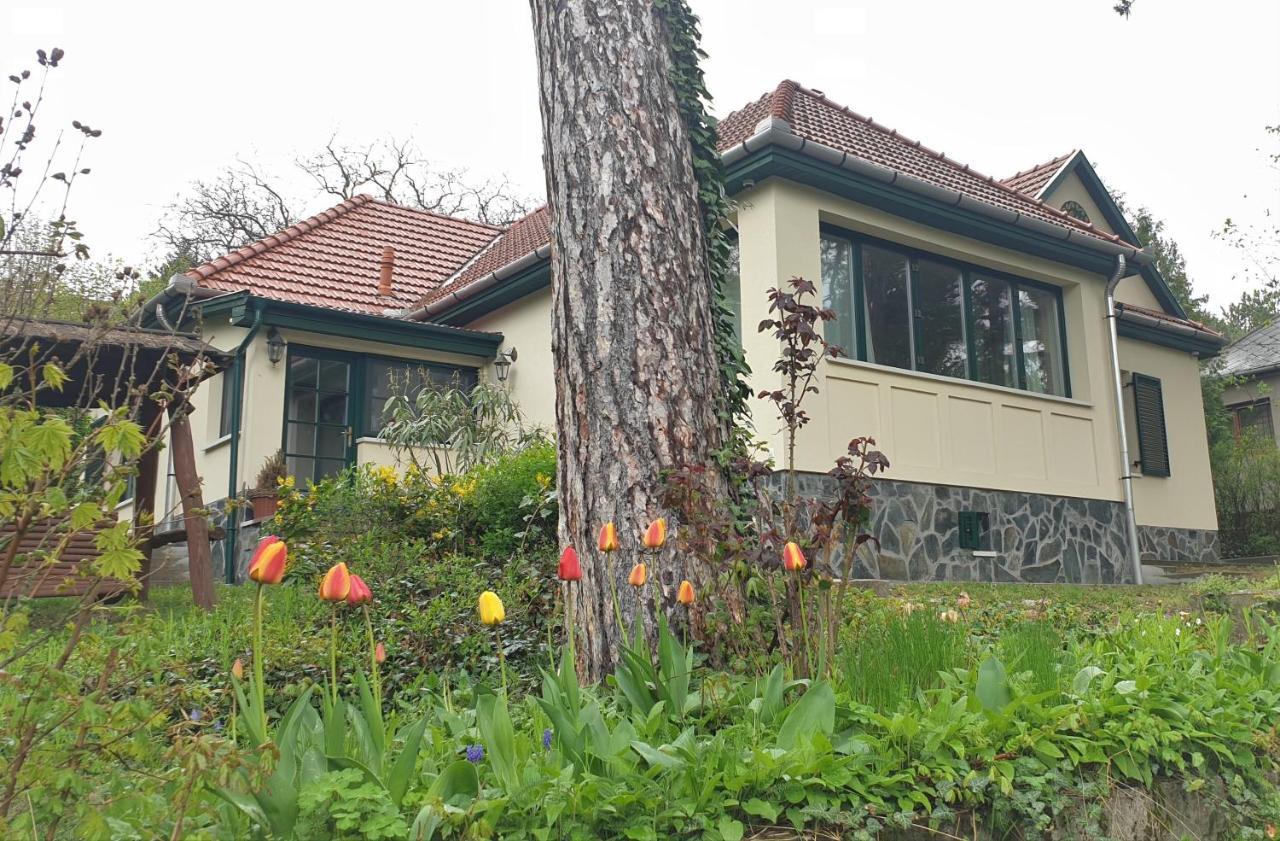 Edit Villa Matrafured Exteriör bild